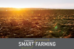 Smart-Farming-Soil.jpg