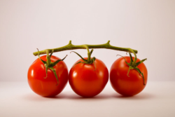 502C74DE-B729-452B-A1A2111BDB59E4CB.png