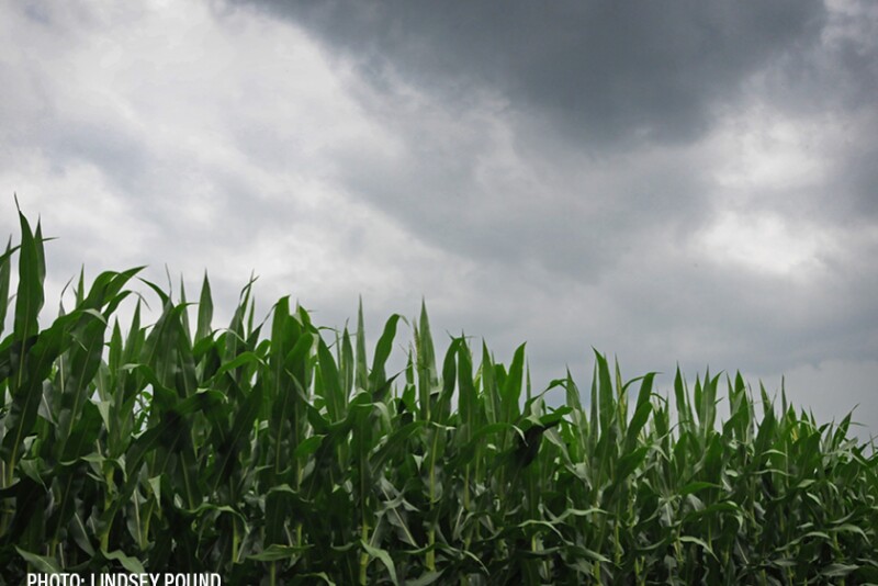 As El Niño Makes Its Grand Return, Here’s What It Tells Us About