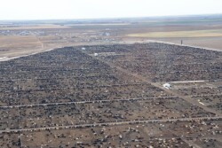 BT_Feedlot_Cattle_Airplane