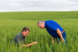A partnership among ARA, the American Society of Agronomy, the Environmental Defense Fund and Field to Market, the SPARC initiative is a series of introductory-level online educational modules for ag retailer decision-makers and Certified Crop Advisers (CCAs) who are considering or just starting to offer sustainability-oriented agronomic guidance.