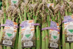 Michigan asparagus. Screenshot courtesy Michigan Asparagus Advisory Board