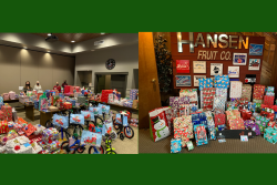 stemilt hansen gifts for foster kids