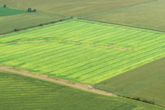 Land