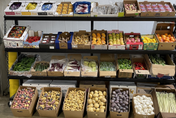 Various produce from Coosemans Chicago Inc.