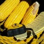 Tools of the Crop Tour Trade