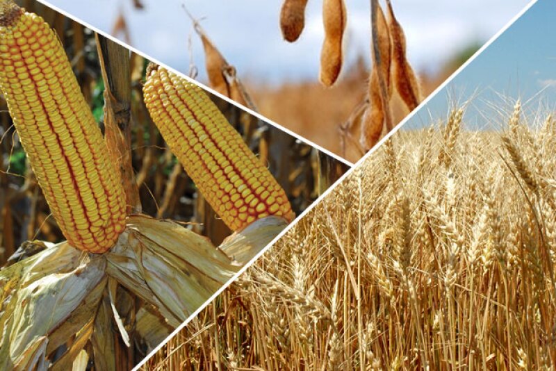 The acreage mix matters to the market, but not to a farmer's marketing plan. 