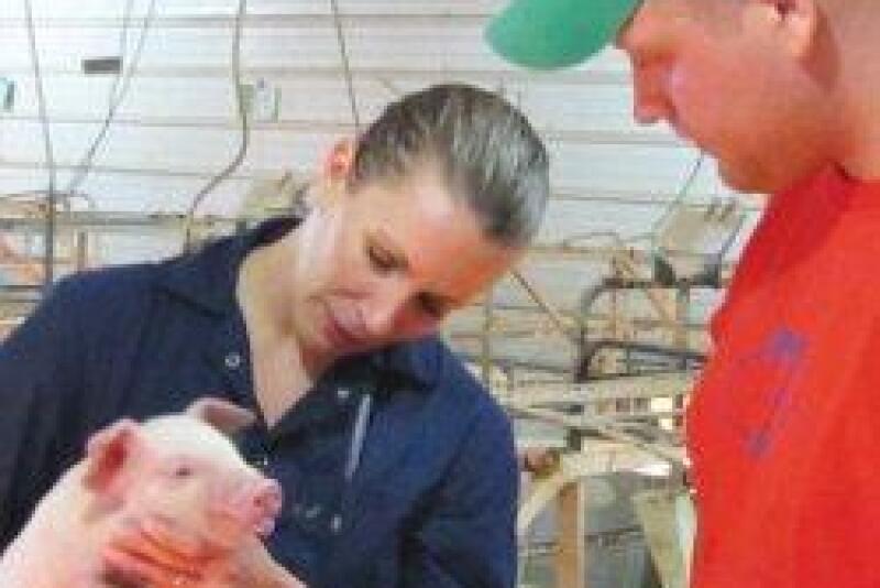 For the seventh time in its 28-year history, the Executive Veterinary Program: Swine Health Management has opened enrollment to veterinarians seeking to gain advanced skills needed by industry leaders.

