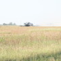 Soybean yields in Minnesota are up nearly 3% due to a changing climate, estimates the University of Minnesota.