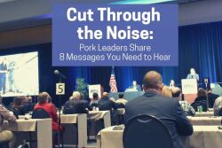 Cut through the noise