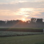 The annual Acreage report in June tends to have a few surprises. This year’s edition definitely delivered.