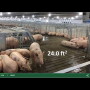 Prop 12 Webinar