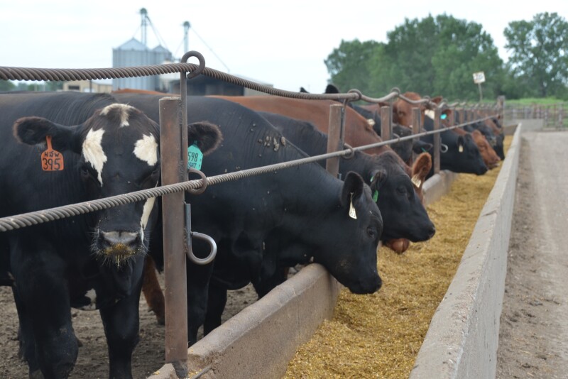 “People in the cow-calf industry were feeding hay at rates they never imagined and cake to keep their cattle herd moving but that also the feedlots out in the western areas are consuming a lot more feed just to maintain.”