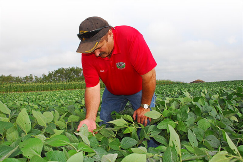 If successful pest control constitutes a run scored, then the four bases you have to touch are time, equipment, people and products. 