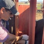 Marty Zaluski, DVM, serves as State Veterinarian with the Montana Department of Livestock.