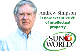 SIMPSON_Andrew_SunWorld_web.png