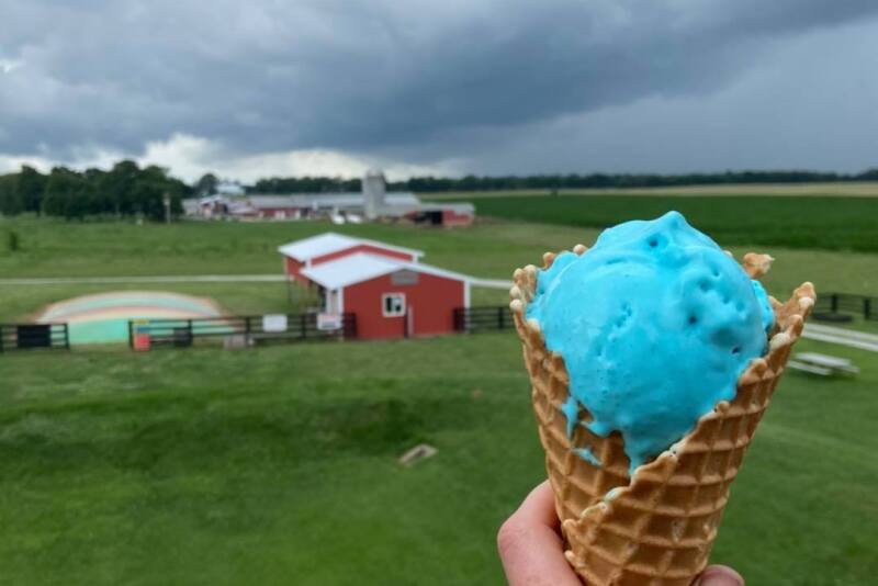 Chaney Dairy