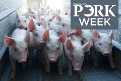 Pork Week 8
