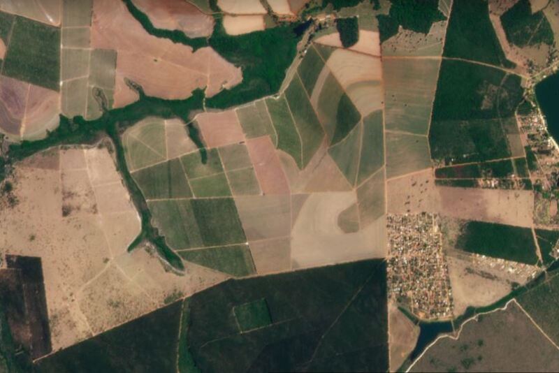 PlanetScope imagery of can help farmers scout for weeds, pests and diseases, as well as nutrient and water stress. © 2021, Planet Labs Inc