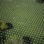 Arlington National Cemetery