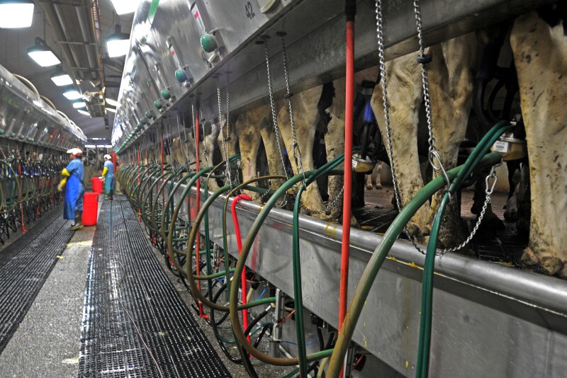 Overall, U.S. milk production was up by 0.2 percent in February from a year earlier. Butter usage in the US has increased by 2 percent from 2018.
