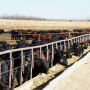 Zeman Ranch