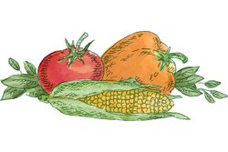 Graphic courtesy Pennsylvania Vegetable Marketing & Research Program