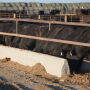Jorgensen Angus