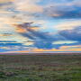 Zeman Ranch