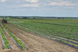D.R. Walcher Farms in North Fairfield, Ohio