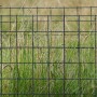 Grazing Exclosure.jpg