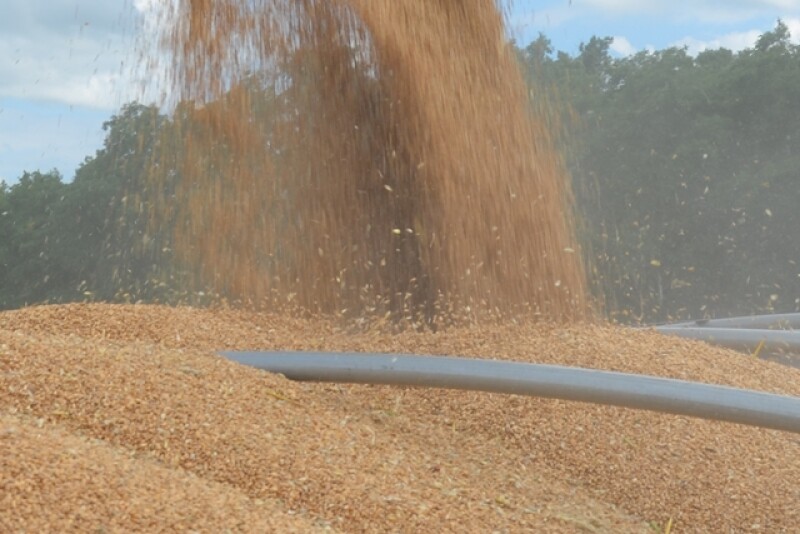 grain