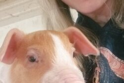 In trying times, America’s hog farmers #FarmOn. 