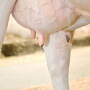 Winter-Teat-resize.jpg
