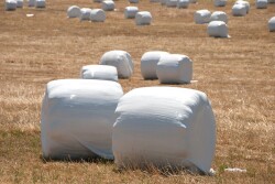 Wrapped Bales_Adobe Stock