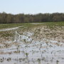A muddy field is a reminder of how difficult spring planting was in 2019. As an active jet stream shapes up, it could continue to bring in moisture across portions of the Midwest. 