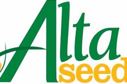 Alta_Seeds