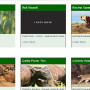 On the new page, users can search by type, keyword, or by the specific pest or disease.