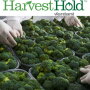 HH-Home-Image-A-1024x684.jpg