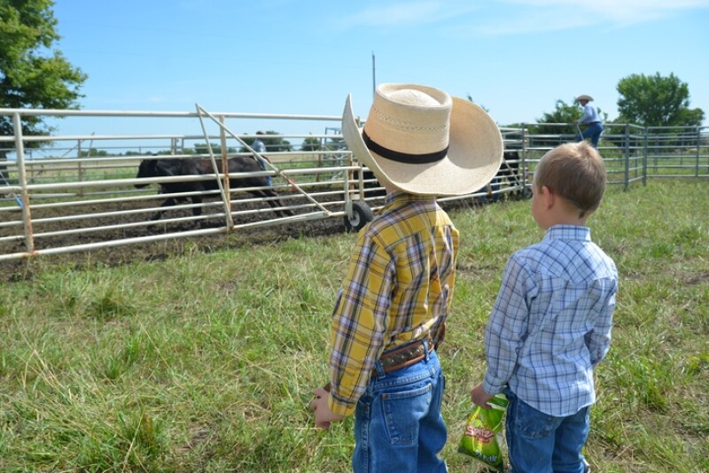 BT_Young_Cowboys