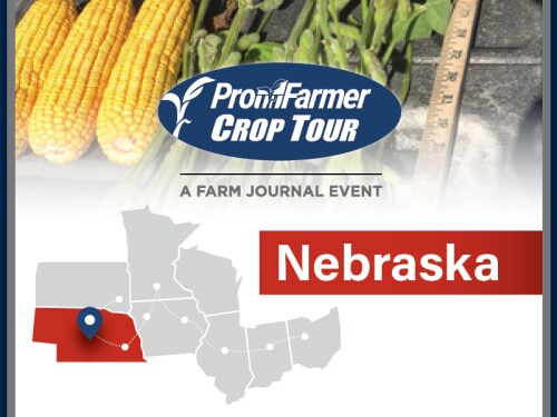 PF Crop Tour_AgWeb_Nebraska.jpg