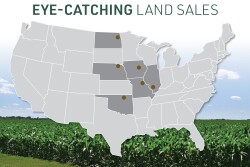 Farmland prices are showing strength despite the economic uncertainty caused by the COVID-19 pandemic. 