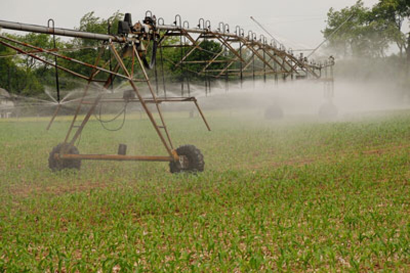 Irrigation photo 2 copy