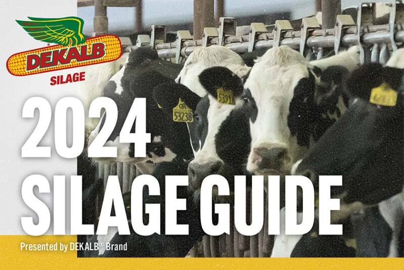 2024 Silage Guide
