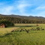 High Meadow Mountain
