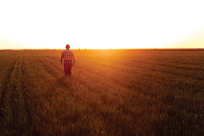 Gratitude is like a muscle, the more you exercise it the stronger it becomes. 