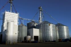The end goal is to streamline the reporting process as part of the Multiple Peril Crop Insurance (MPCI) program. 