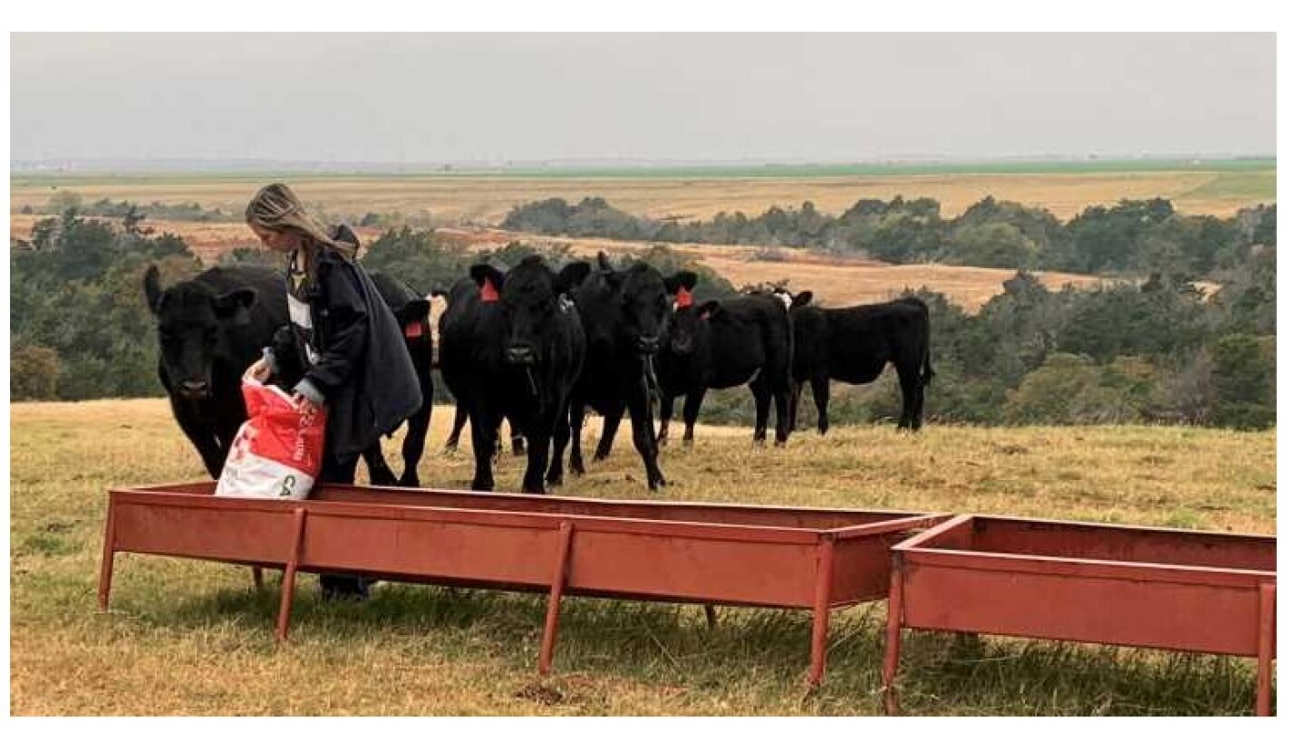 Raegan%20Feeds%20Cattle%201a.jpg