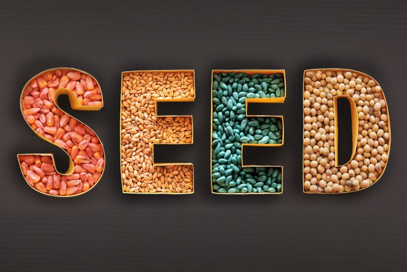 Seed