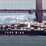Cargo Ship Trade